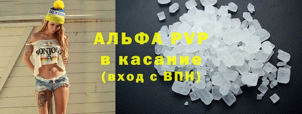 крисы Кодинск