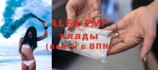 дурь Пересвет
