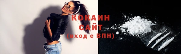 крисы Коряжма