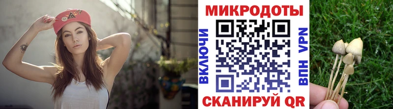 Галлюциногенные грибы прущие грибы  Новочебоксарск 